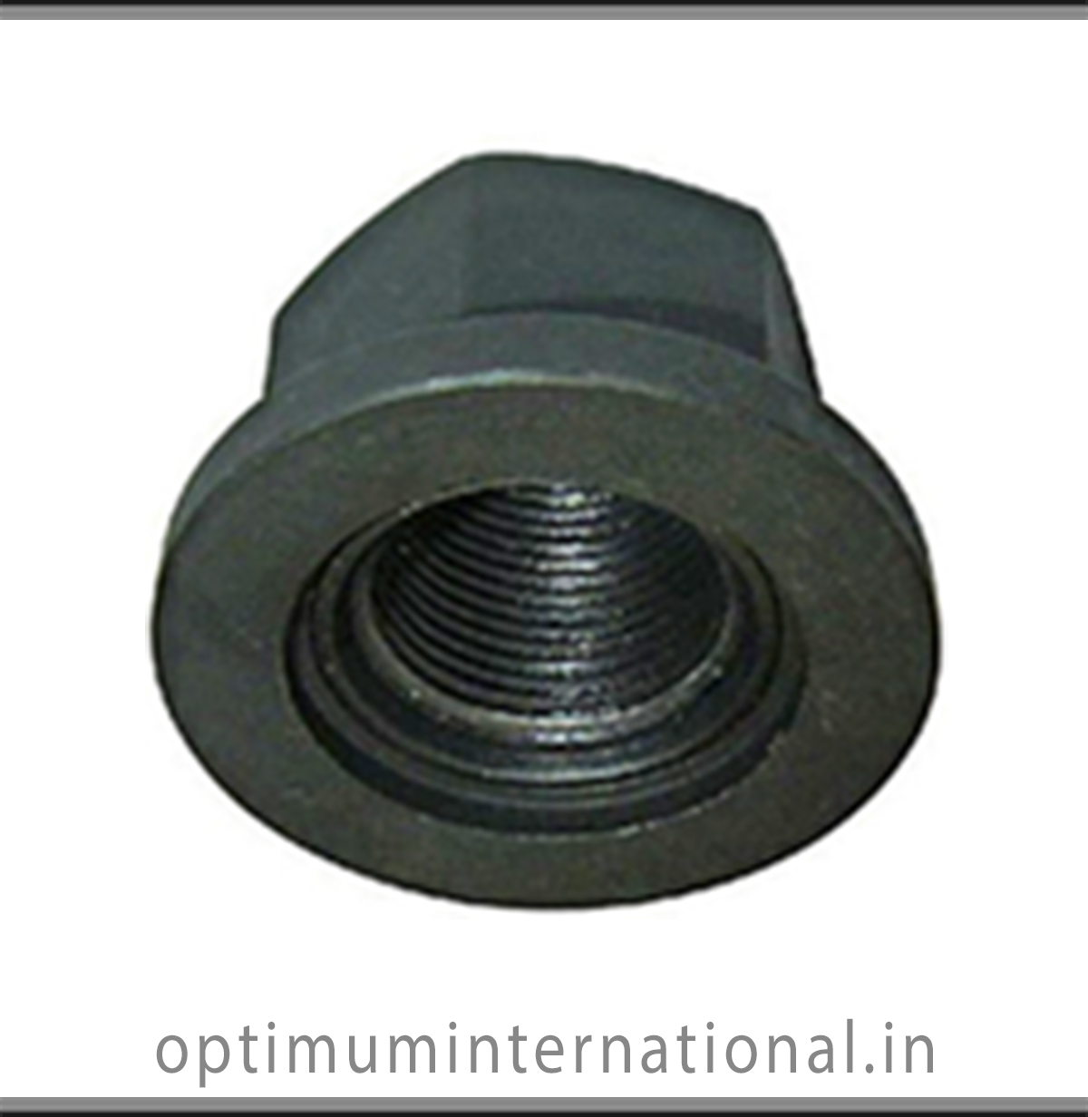 high tensile nuts fasteners manufacturers exporters india punjab ludhiana